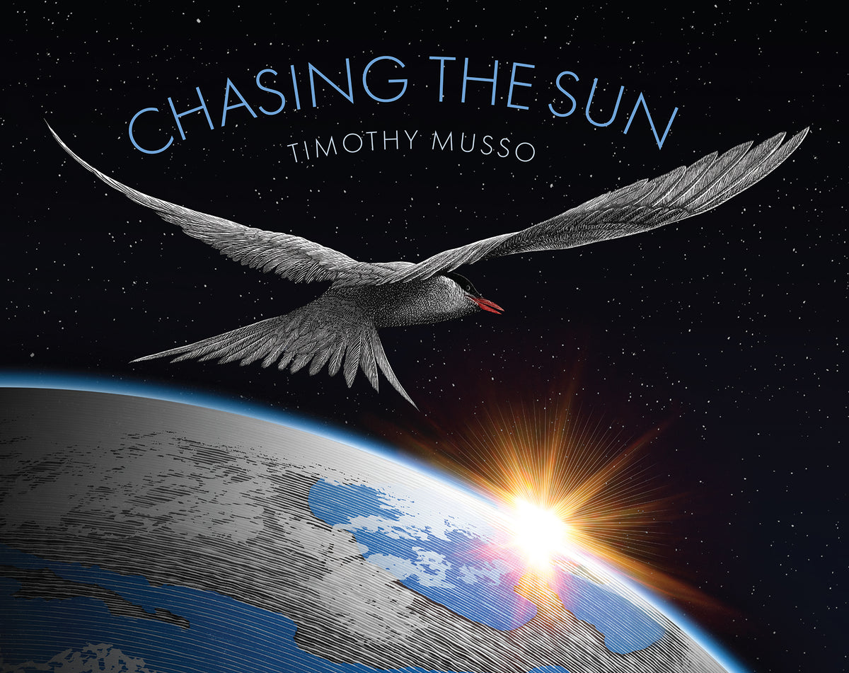 Chasing The Sun Scan Vf Chapitre 3 Chasing the Sun – The Creative Company