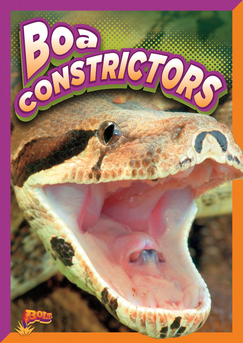 Boa Constrictors – The Creative Company Shop