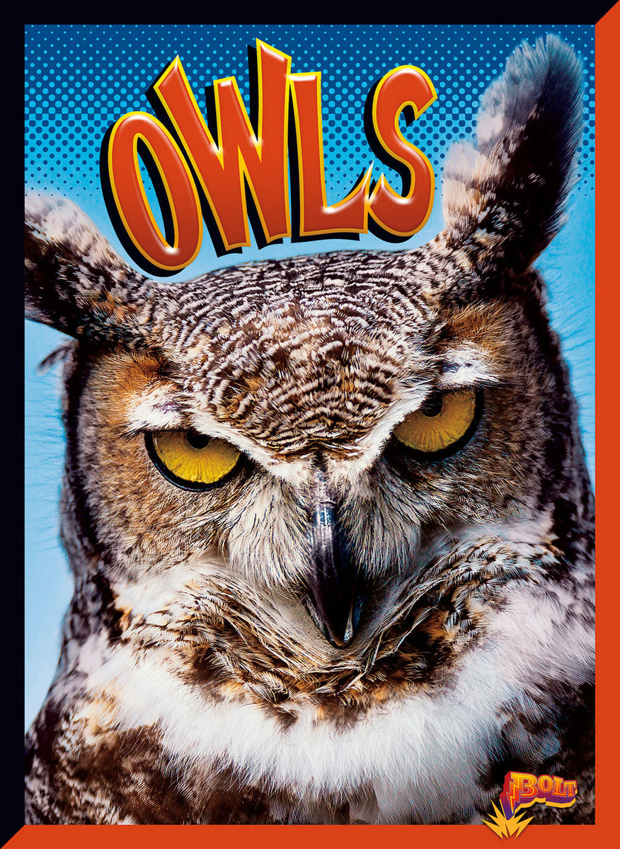 Owls – The Creative Company