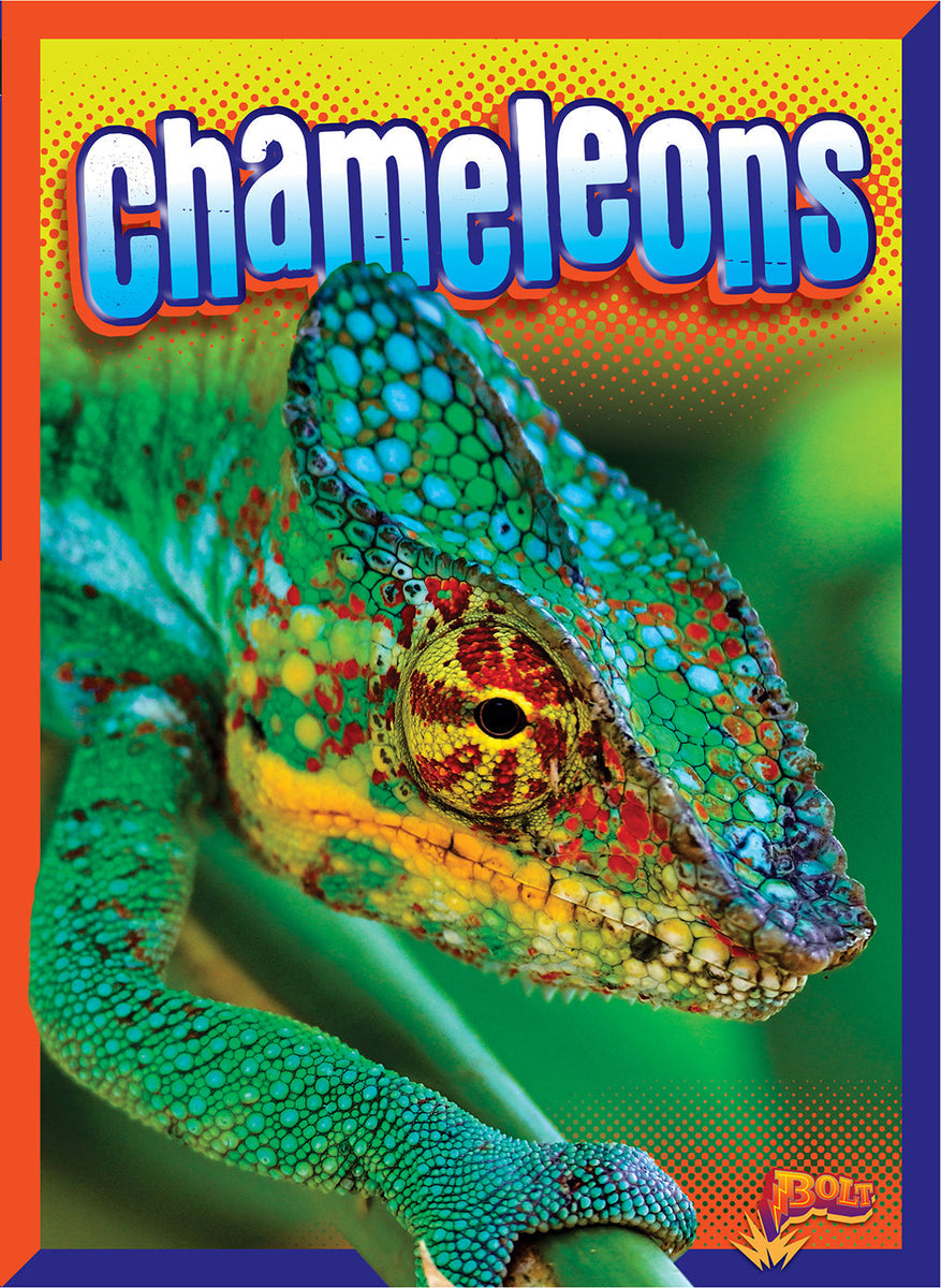 Chameleons – The Creative Company