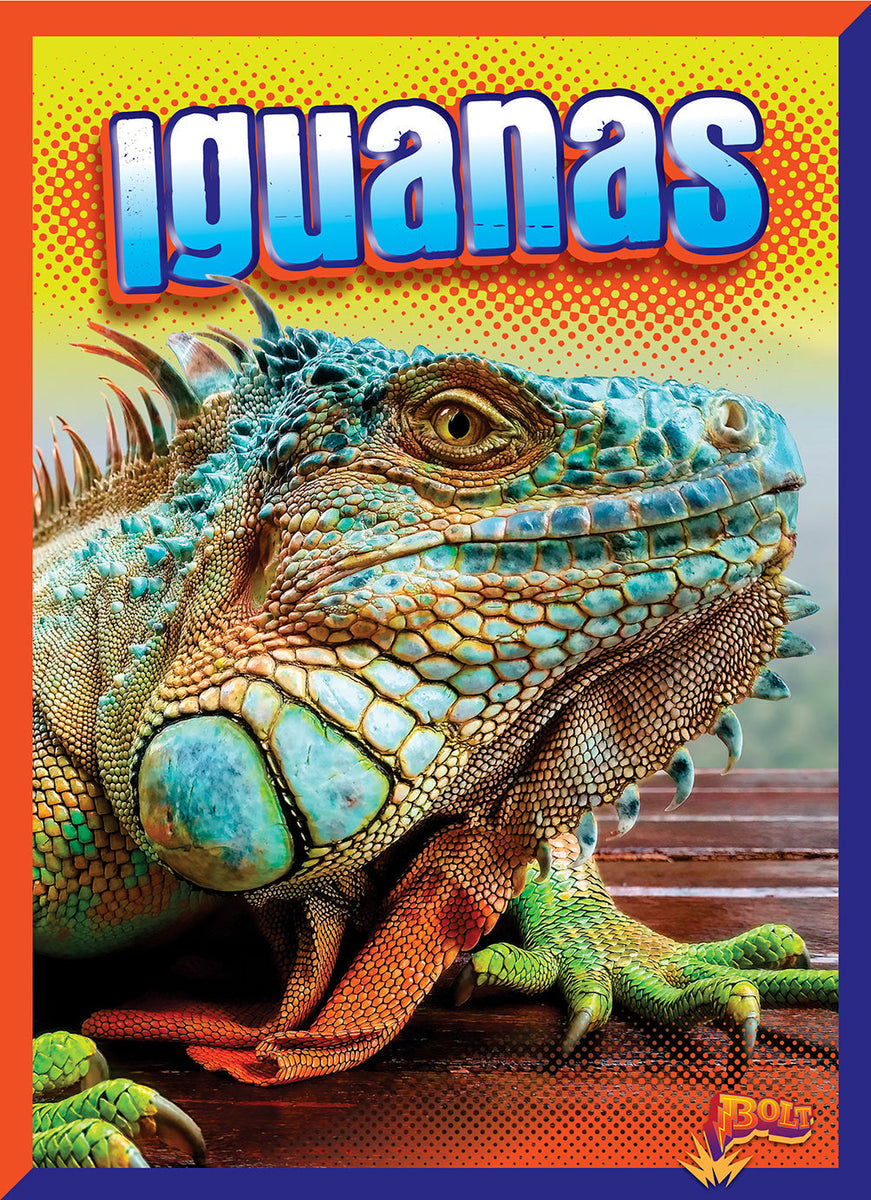 洋書　グリーンイグアナ　IGUANAS QUARTERY Iguanas – The Creative Company