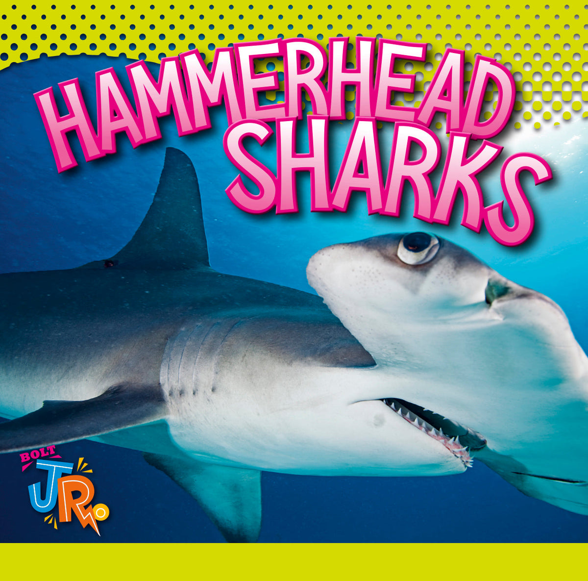 Hammerhead Sharks – The Creative Company Hammerhead Sharks – The Creative Company