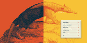 Living Wild (2024): Anteaters