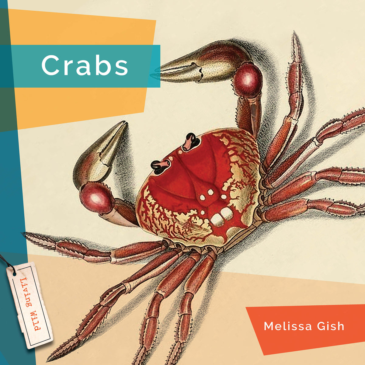 Crabs – The Creative Company