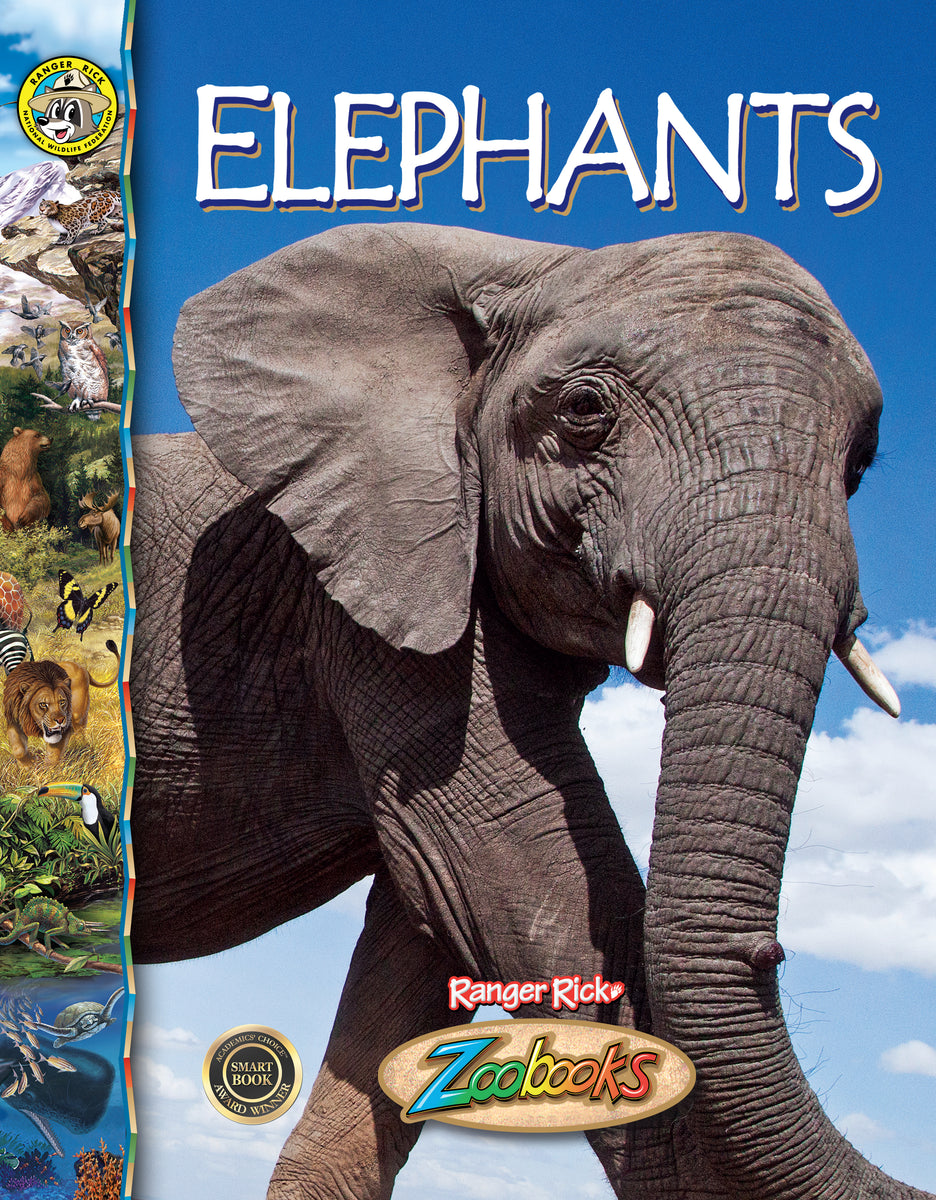 Elephants – The Creative Company