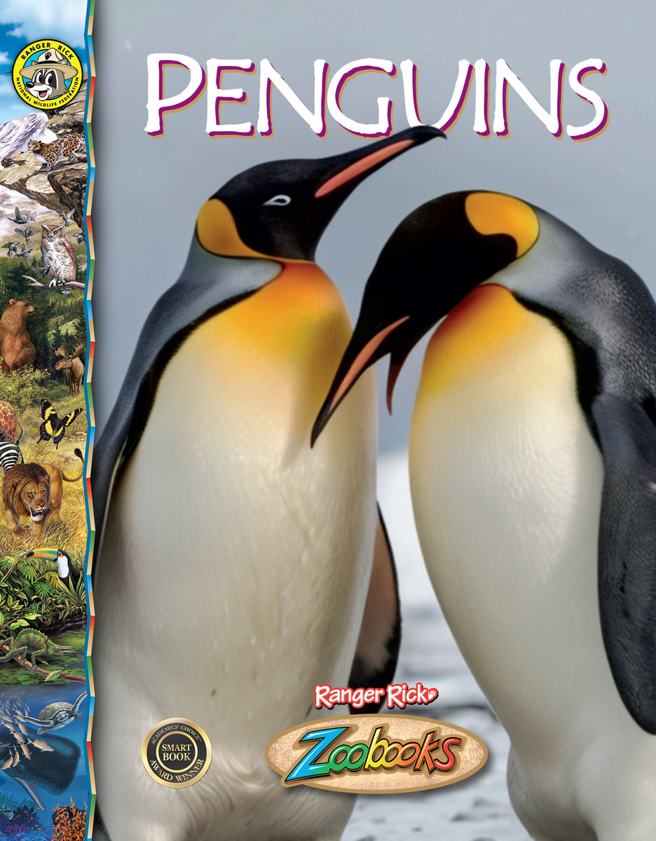 Penguins – The Creative Company