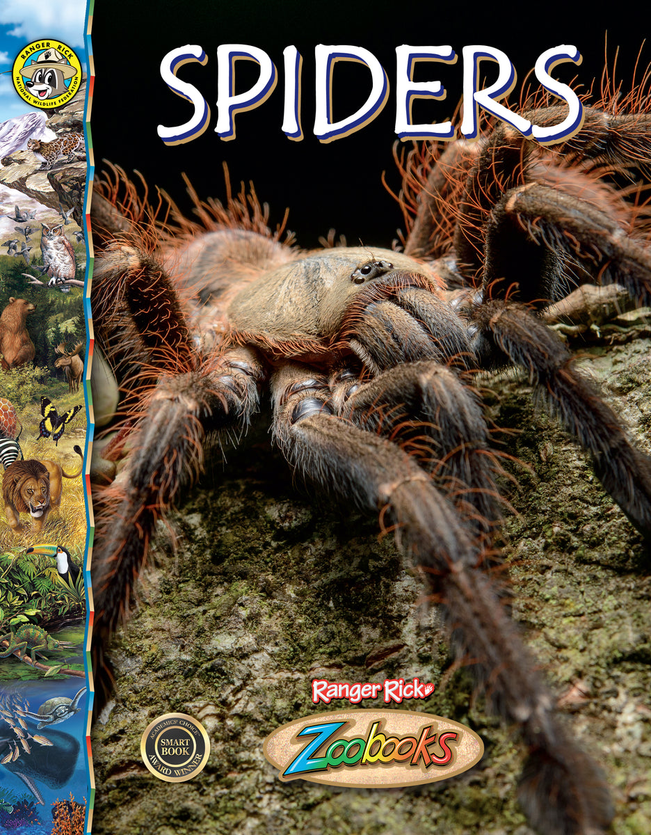 金村修　SPIDERS STRATEGY 9781644669303_fc_1200x1200.jpg