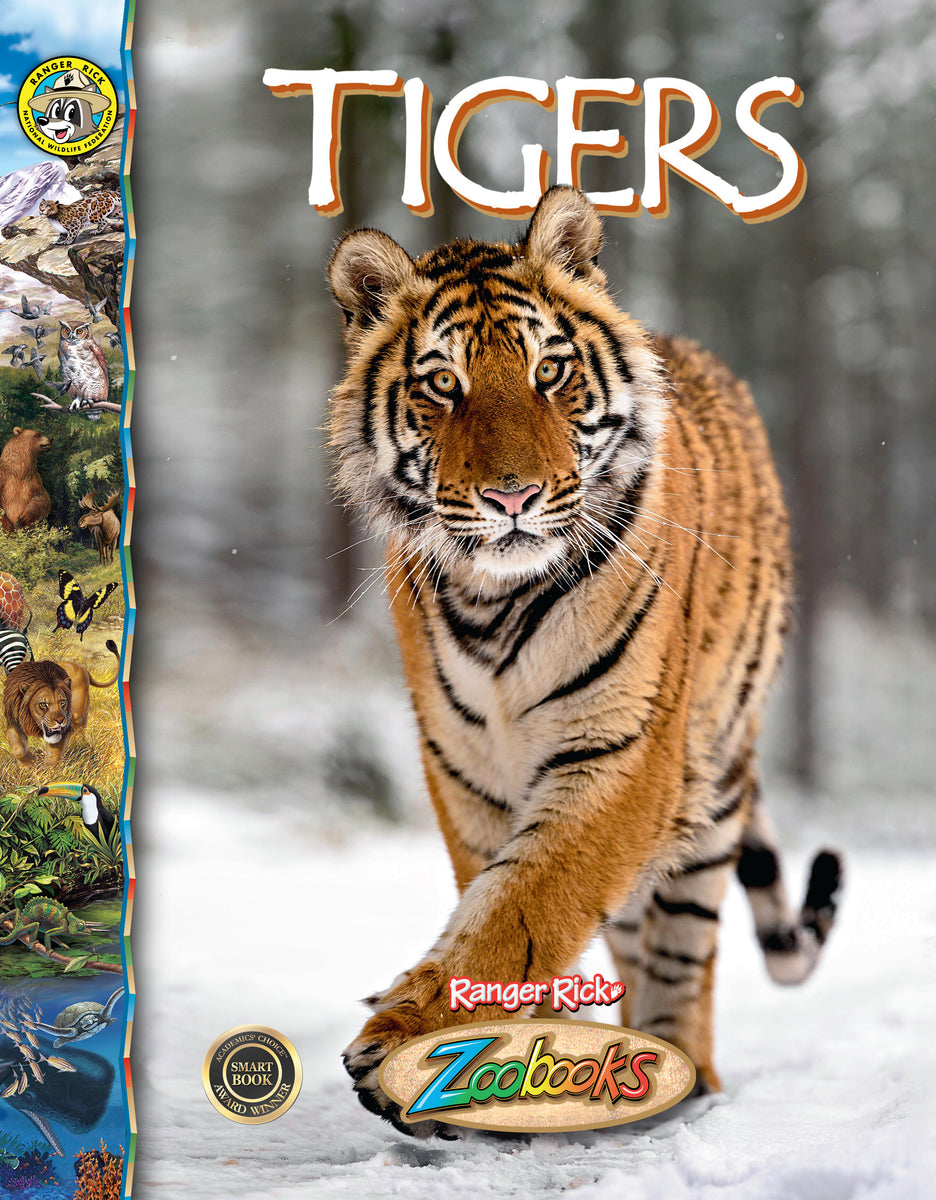 Tigers – The Creative Company