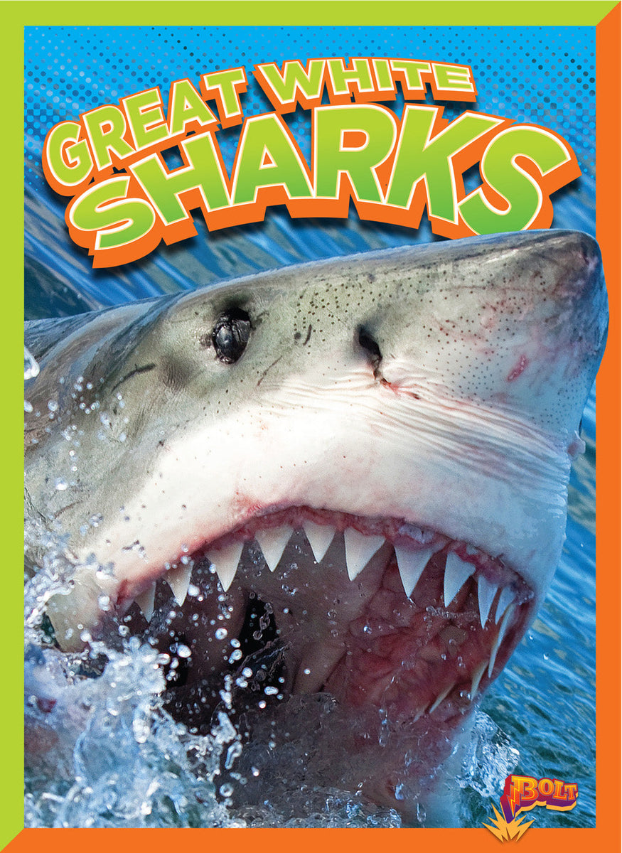Great White Sharks – The Creative Company