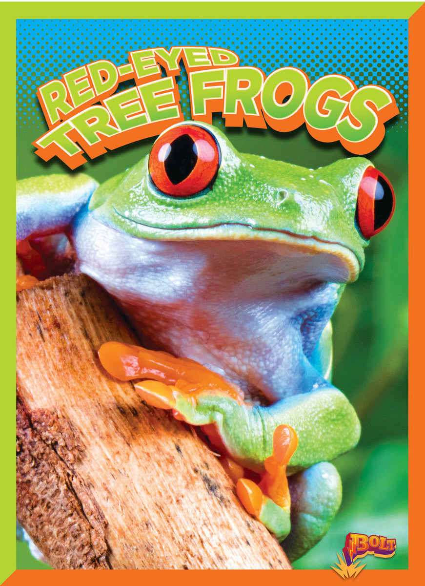 Red-Eyed Tree Frogs – The Creative Company