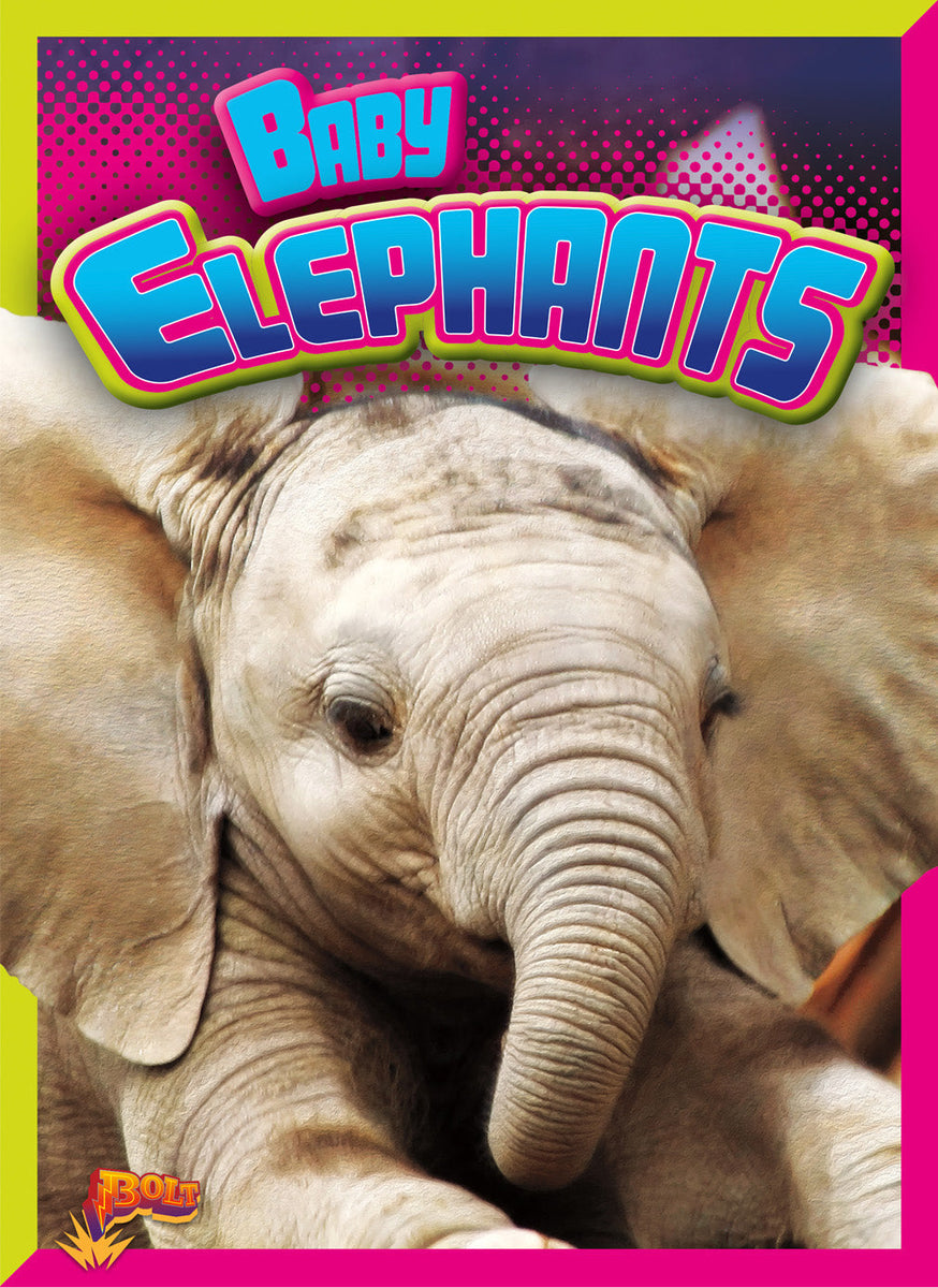 Baby Elephants – The Creative Company