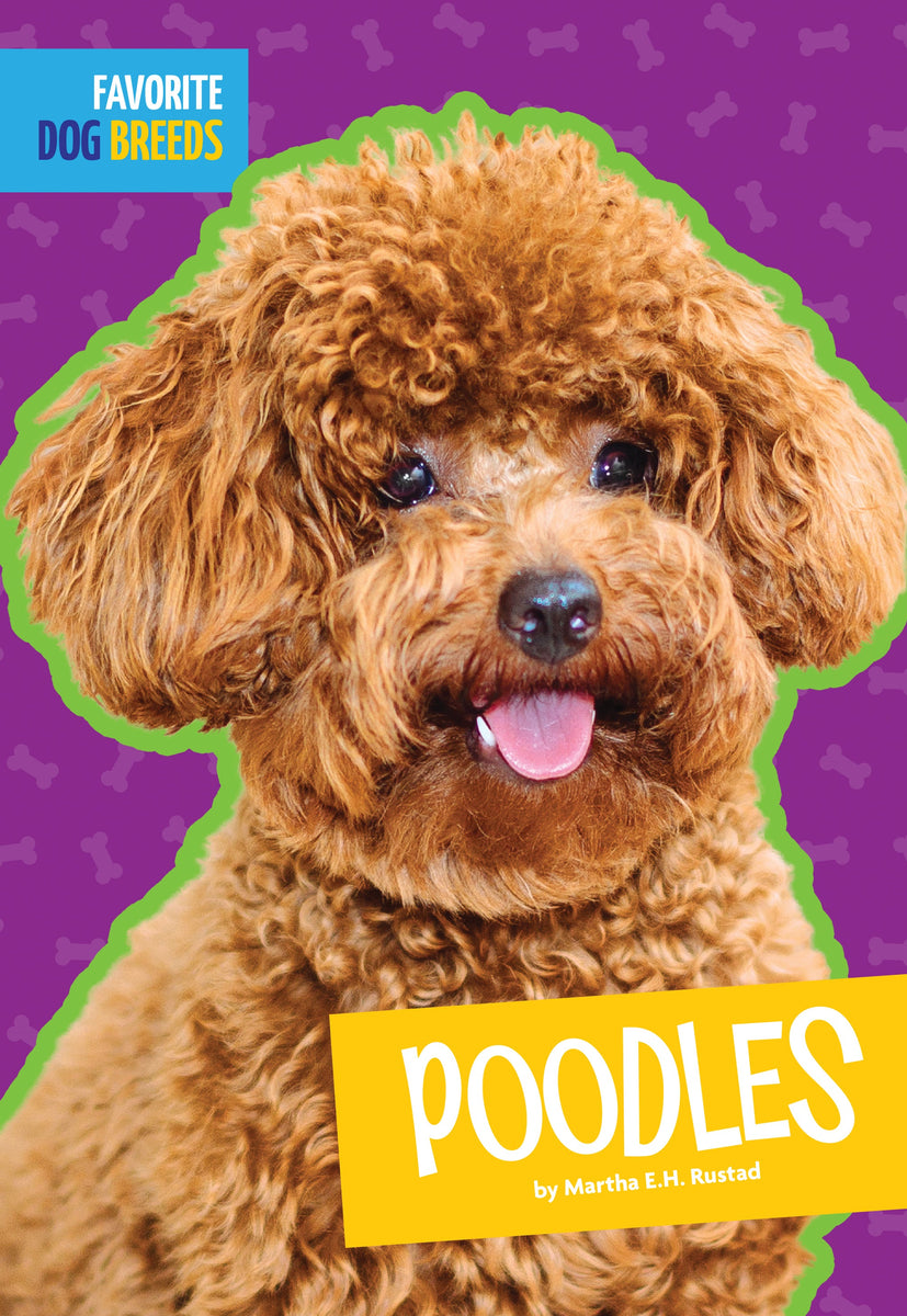 Poodles – The Creative Company