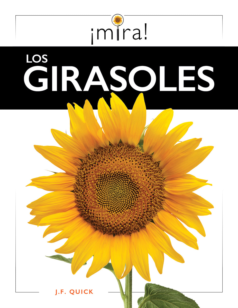 語学・辞書・学習参考書 sunflower Los girasoles – The Creative Company