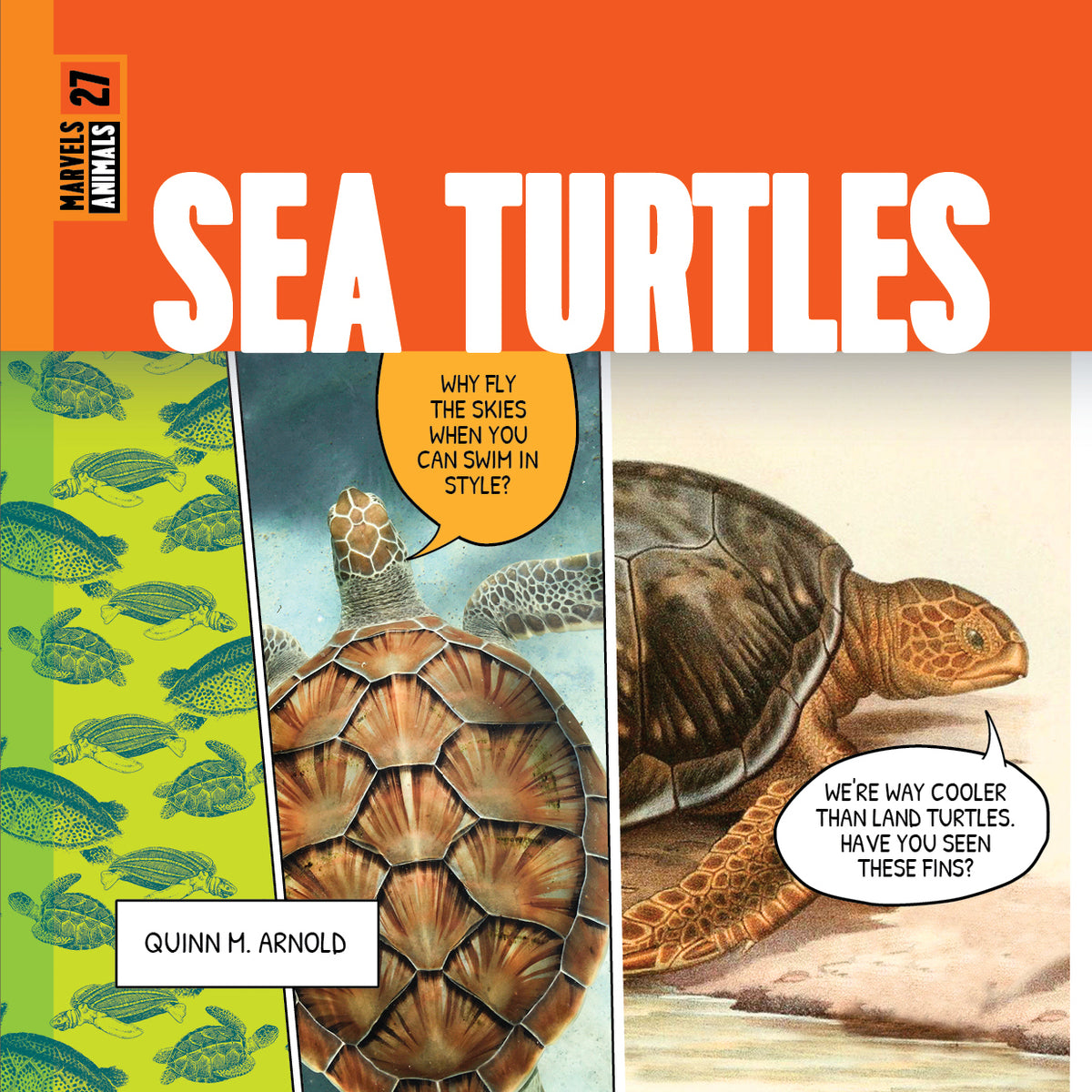 Sea Turtles – The Creative Company