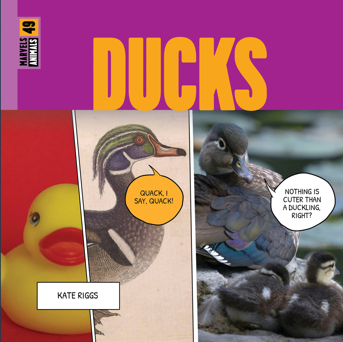 Ducks – The Creative Company