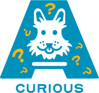 The Creative Company