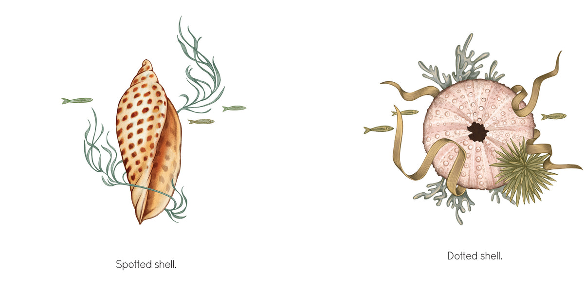 Finding Seashells - Doodlewash®