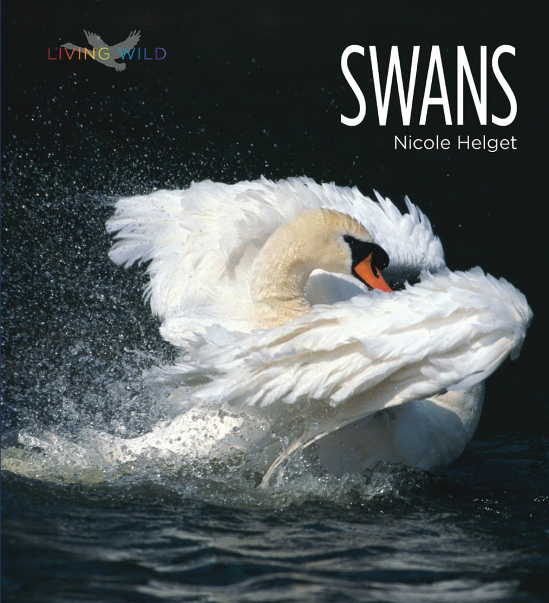 Swans – The Creative Company
