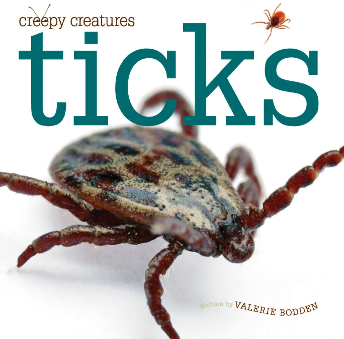 Ticks – The Creative Company