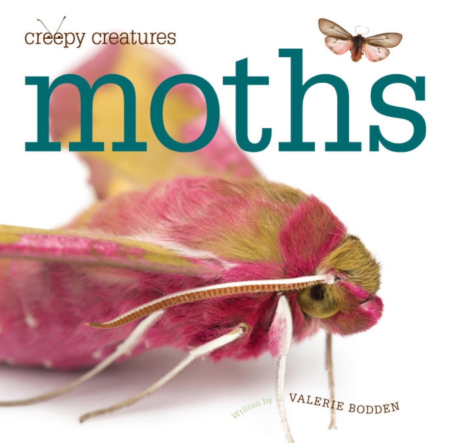 Creepy Creatures: Moths