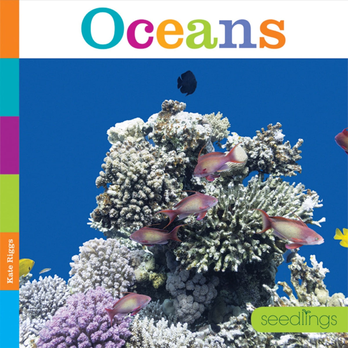 Oceans – The Creative Company