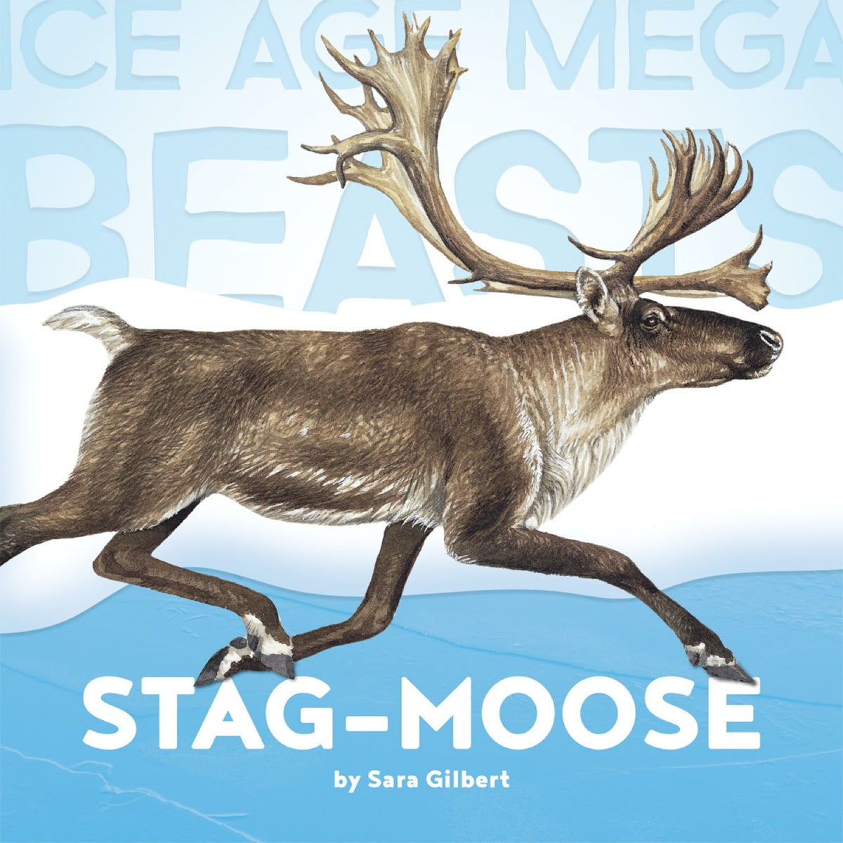 Stag moose outlet