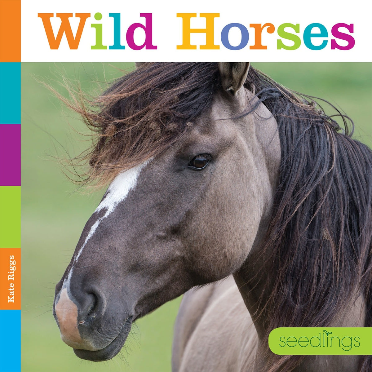 Wild Horses – The Creative Company Wild Horses – The Creative Company