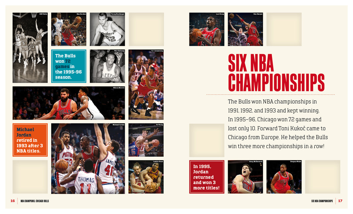 Champion Chicago Bulls NBA Fan Shop