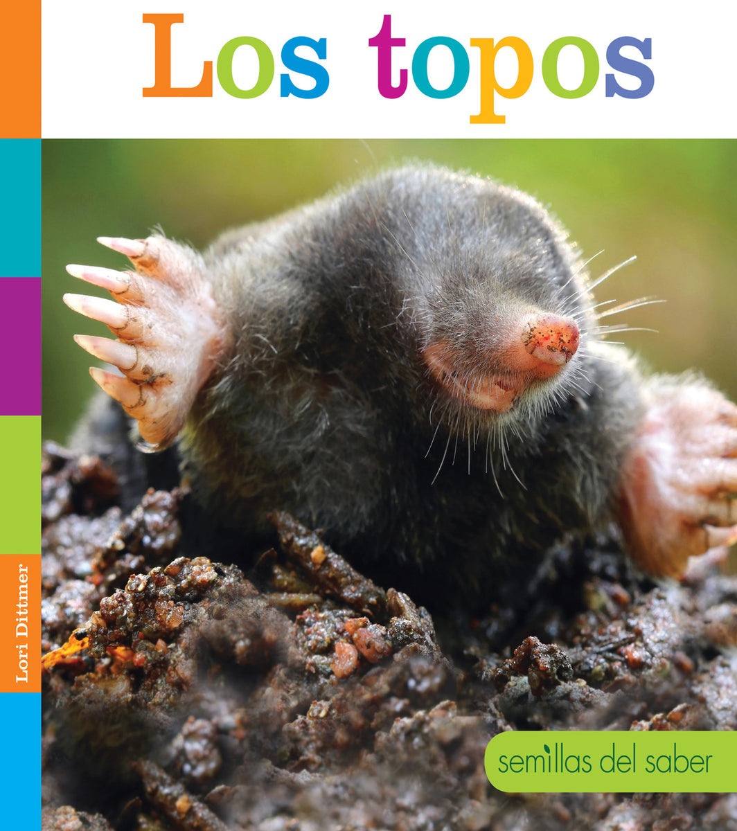 Topos