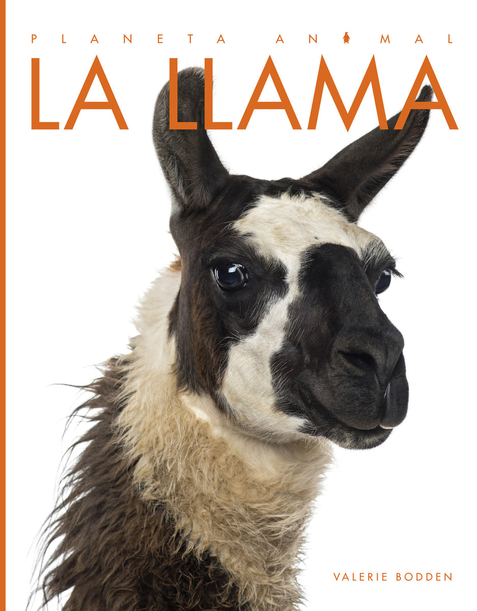 新品 タグ付き  Luis Llama ラマ 廃番 希少 レア 9781640260993_1200x1200.jpg?v=