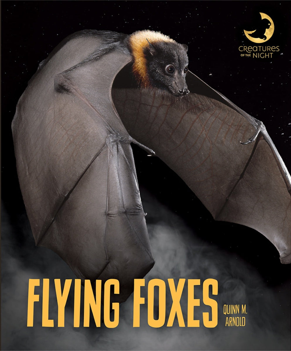 Flying Foxes – The Creative Company