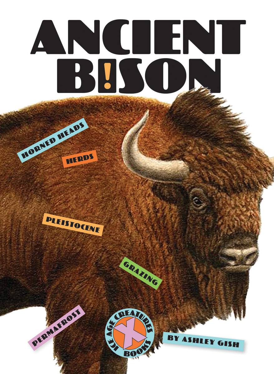 Ancient Bison – The Creative Company