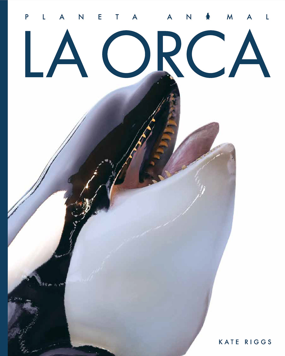 La orca – The Creative Company