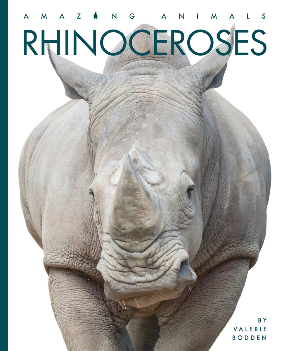 Rhinoceroses – The Creative Company