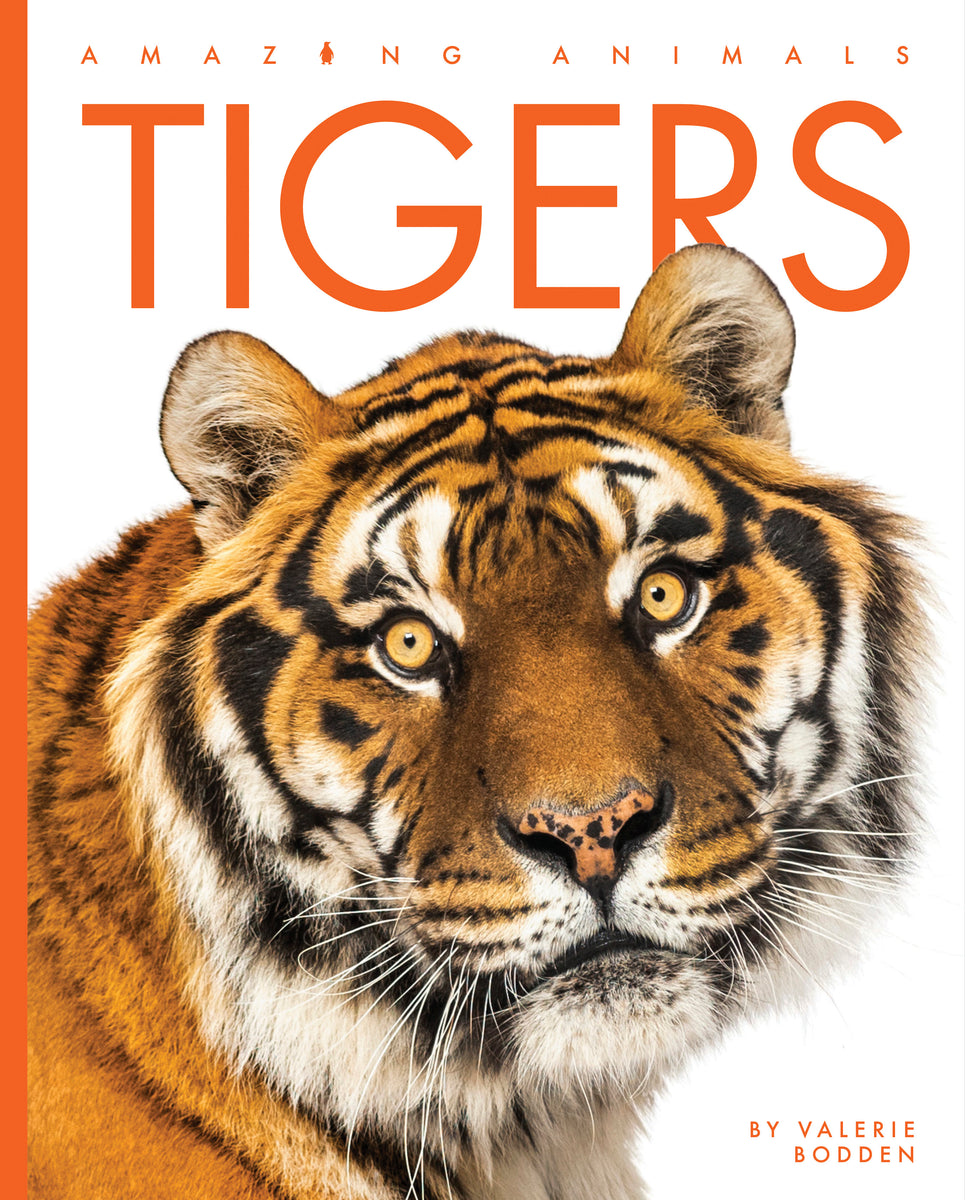 Tigers – The Creative Company
