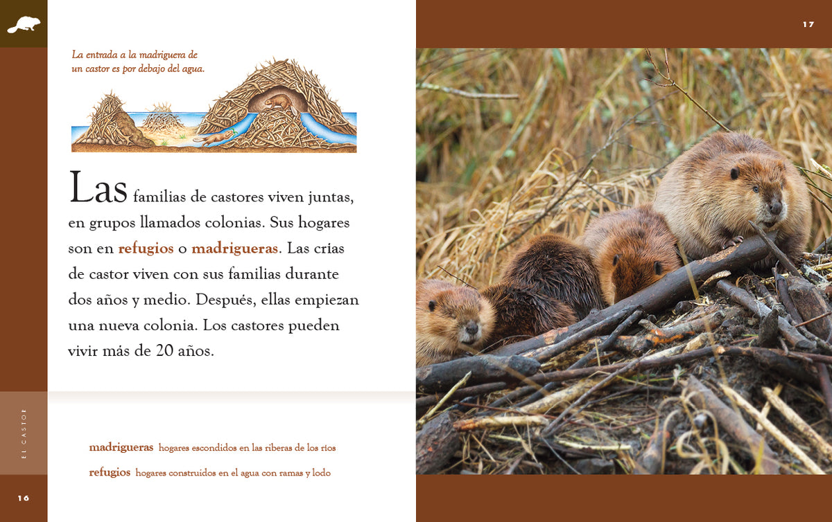 De perros y de huesos (Biblioteca Planeta) (Spanish Edition): Colo:  9788467491845: : Books