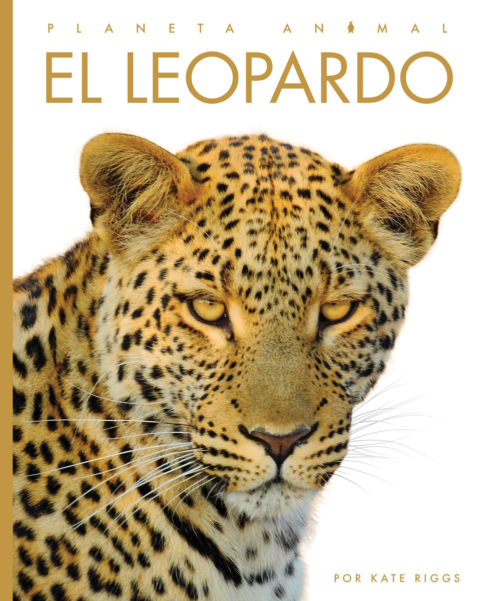 Leopardo 2025