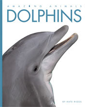 Dolphins © 2011
