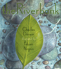 The Riverbank © 2009