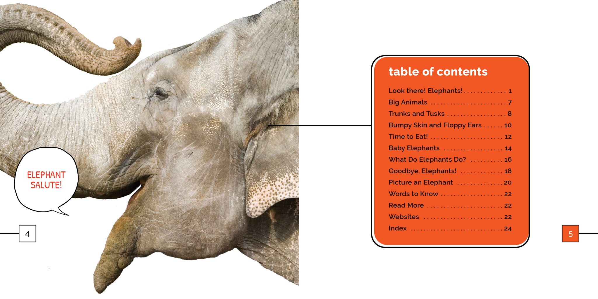 Elephants – The Creative Company