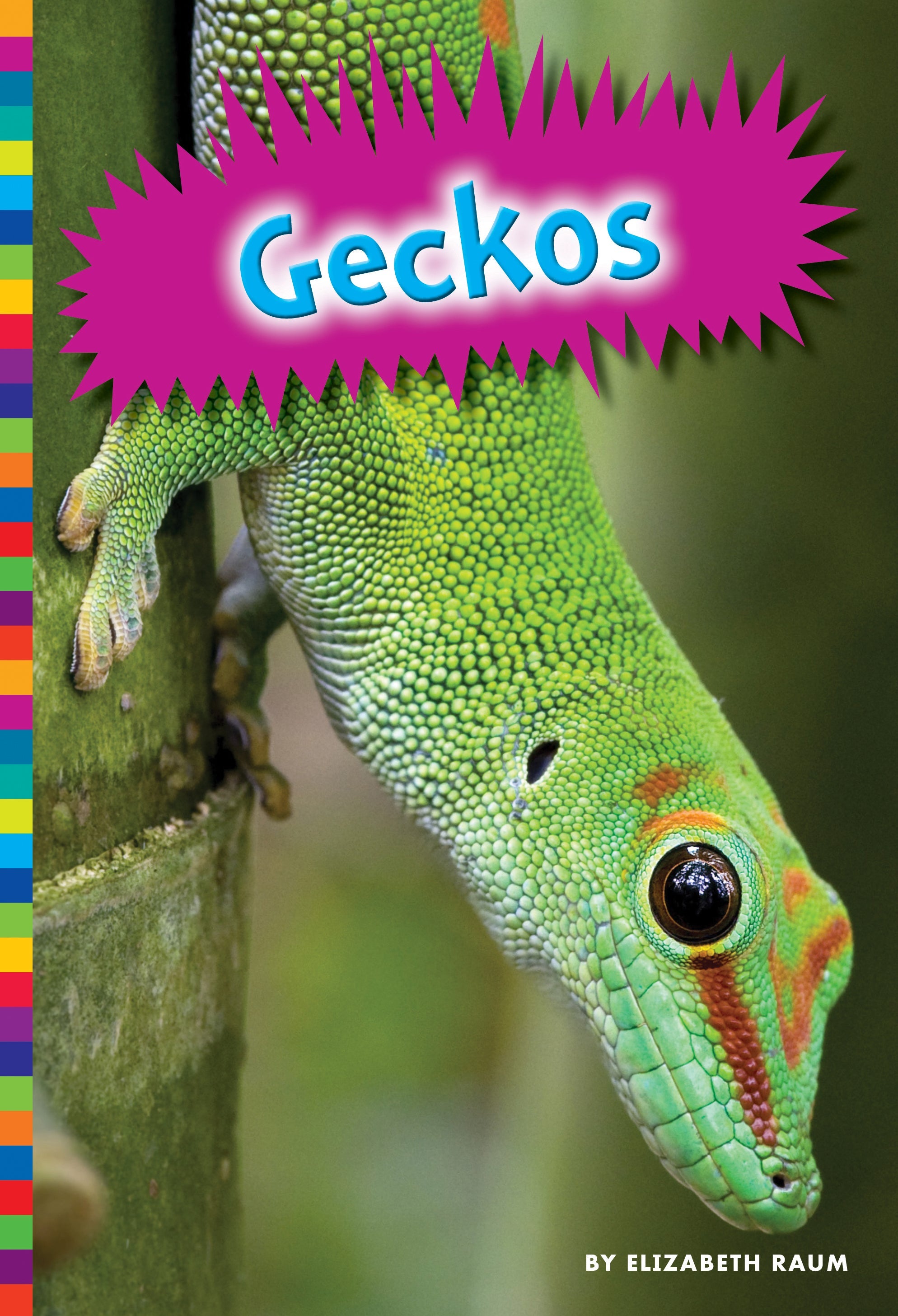 Geckos – The Creative Company