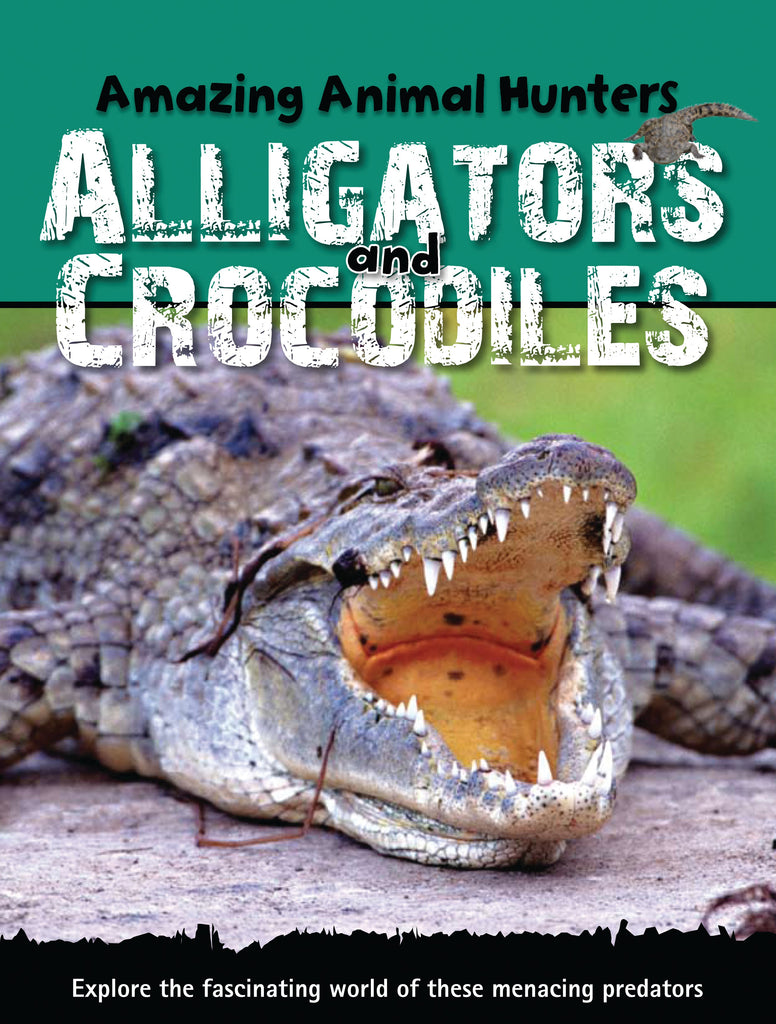 Alligators and Crocodiles