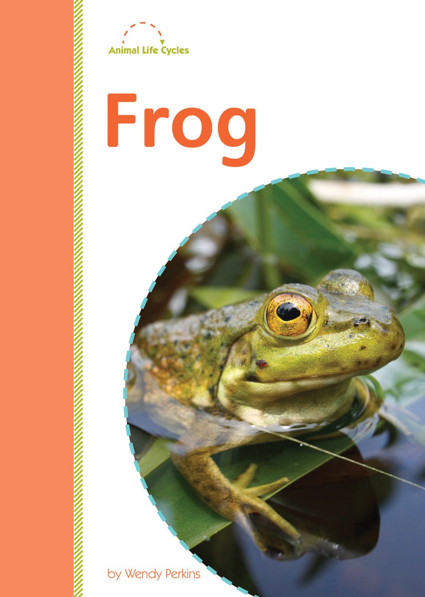 Frog – The Creative Company