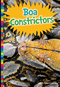 Boa Constrictors