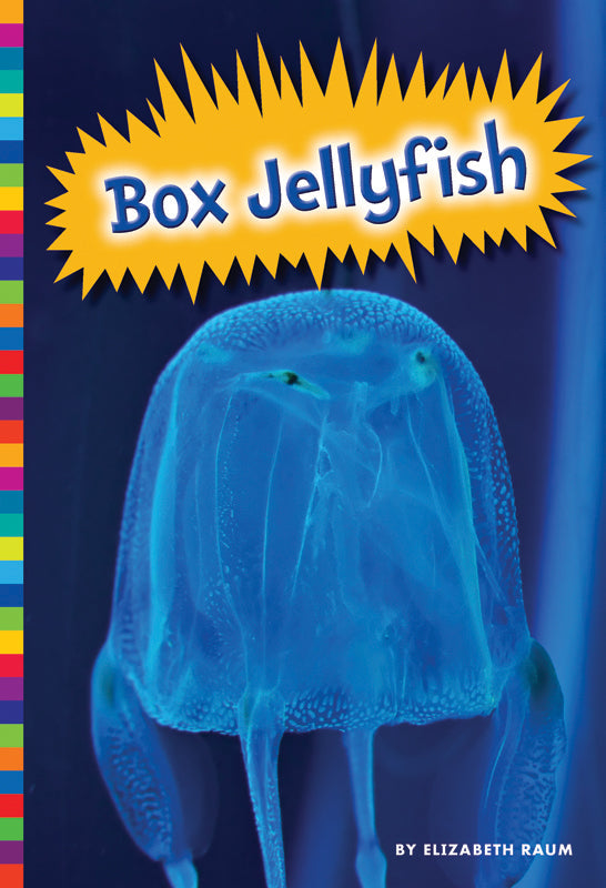 Box Jellyfish Box Jellyfish