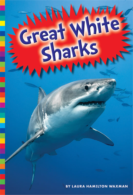 Great White Sharks