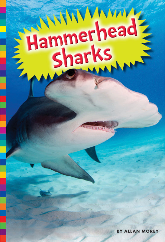 Hammerhead Sharks