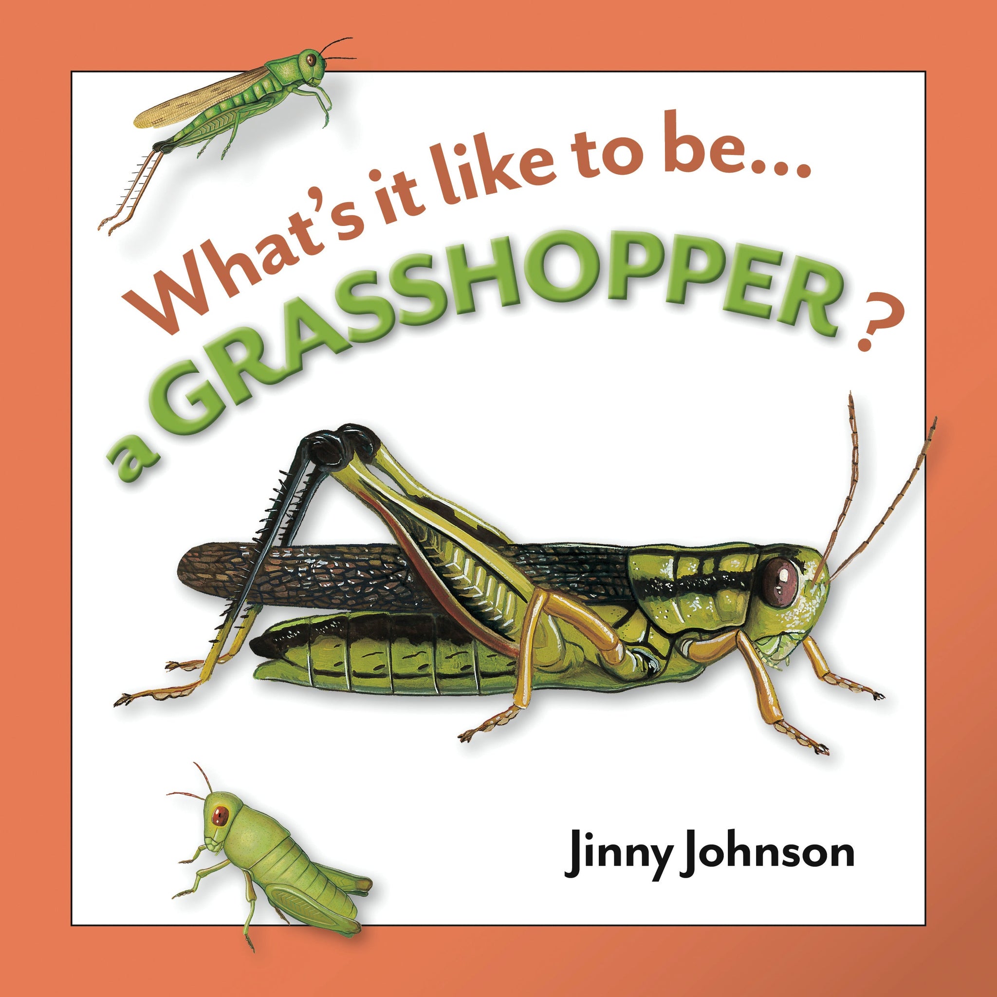 A Grasshopper? – The Creative Company