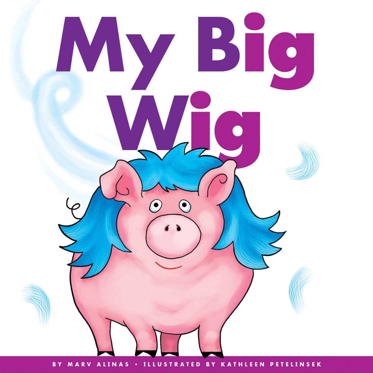 My Big Wig The Creative Company