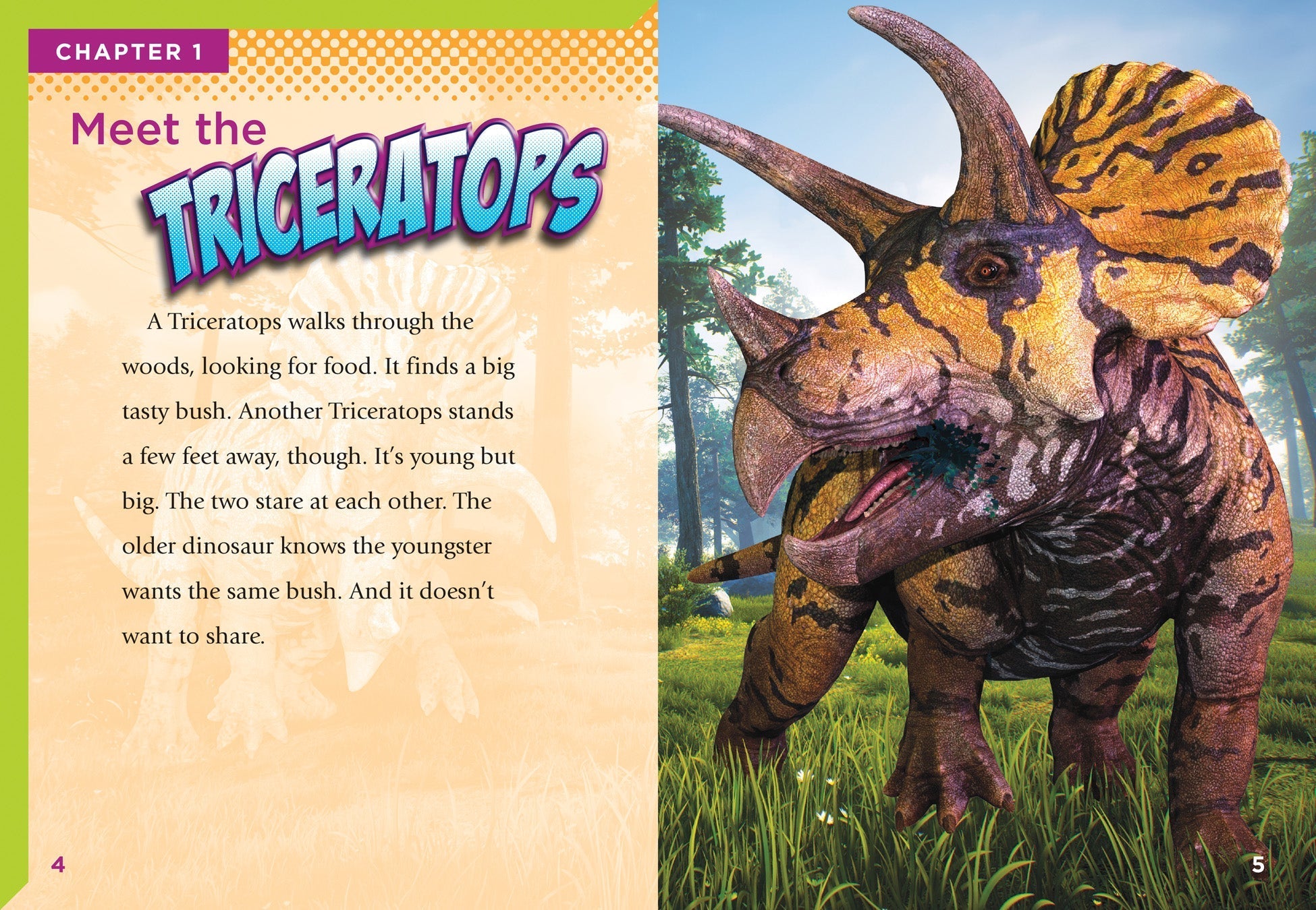 Triceratops – The Creative Company